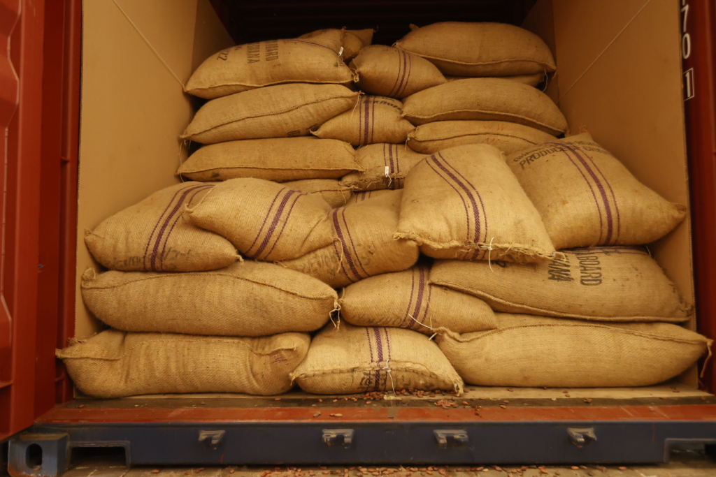 Des sacs en toile de jute empilés à l'intérieur d'un conteneur de transport.