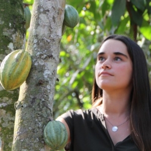 Une jeune femme regarde avec curiosité des cabosses de cacao poussant directement sur le tronc d'un cacaoyer.