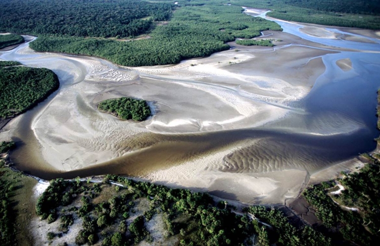 Vue aérienne d'un estuaire avec des bancs de sable et une forêt tropicale environnante.