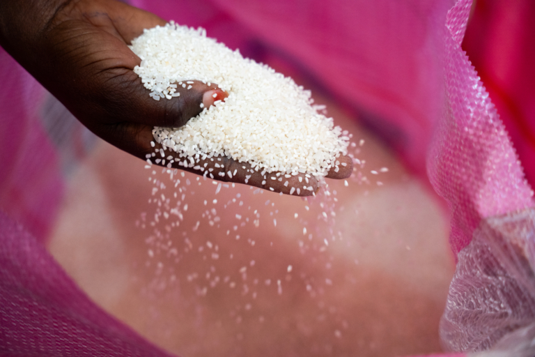 Une main tenant du riz blanc qui s'écoule entre les doigts au-dessus d'un sac rose.