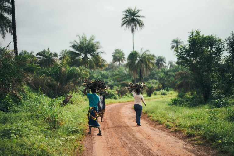 Trois femmes transportent des fagots de bois sur leur tête le long d'un chemin de terre rouge entouré de palmiers.