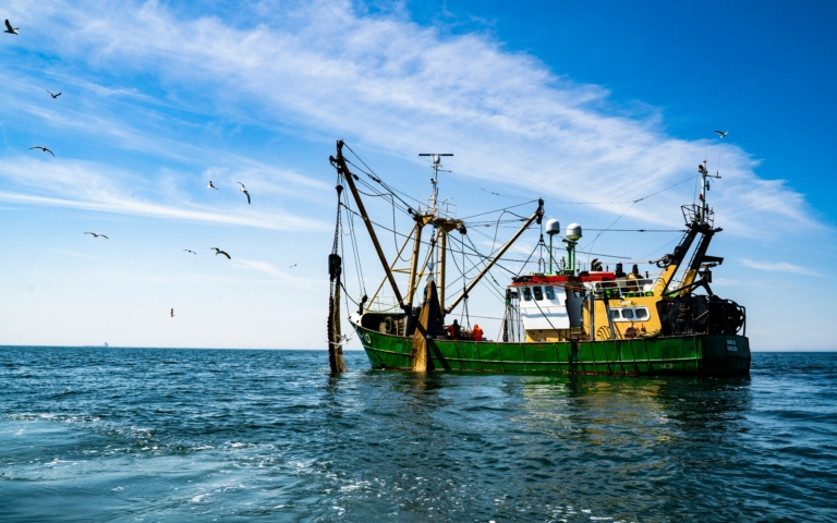 Un chalutier vert et jaune navigue sur une mer bleue sous un ciel clair avec des mouettes volant autour.